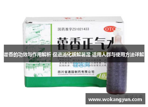 藿香的功效与作用解析 促进消化缓解暑湿 适用人群与使用方法详解 藿香的功效与作用解析 促进消化缓解暑湿 适用人群与使用方法详解